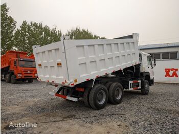 شاحنة قلاب HOWO China dumper Sinotruk Shacman tipper lorry 6x4 drive: صورة 4