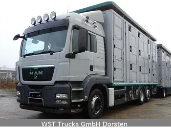 شاحنة نقل المواشي MAN TGX 26.440 LXL Menke   3 Stock Vollalu: صورة 1