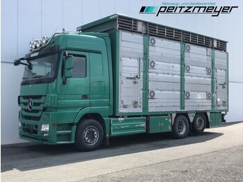 شاحنة نقل المواشي MERCEDES-BENZ Actros 2544 LL Pezziaoli 3 Stock: صورة 1