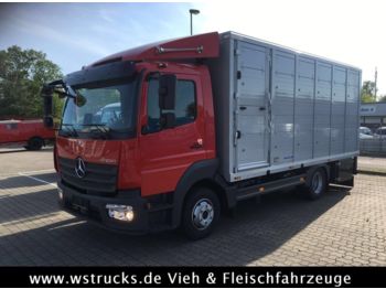 شاحنة مغلقة الصندوق لنقل الحيوانات Mercedes-Benz 821L" Neu" WST Edition" Menke Einstock Vollalu: صورة 1