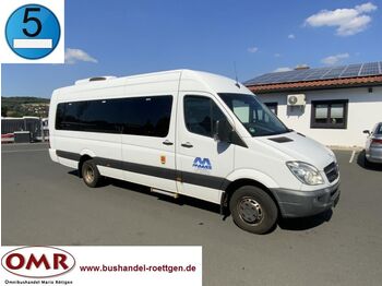 حافلة صغيرة, ميكروباص Mercedes-Benz Sprinter Transfer 55/ Euro 5/ Original-KM: صورة 1