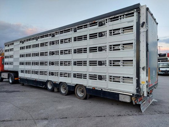 نصف مقطورة لنقل الحيوانات Pezzaioli SBA32/G , 5 Stock , Viehtransporter  , Tränkeranlage,: صورة 2