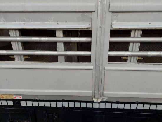 نصف مقطورة لنقل الحيوانات Pezzaioli SBA32/G , 5 Stock , Viehtransporter  , Tränkeranlage,: صورة 12