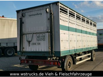 Westrick Viehanhänger 1Stock, trommelbremse  - مقطورة نقل المواشي