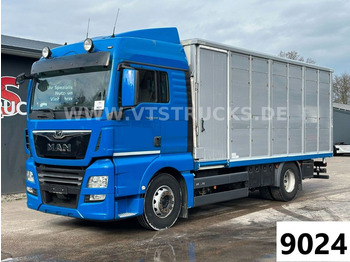 شاحنة نقل المواشي MAN TGX 18.500