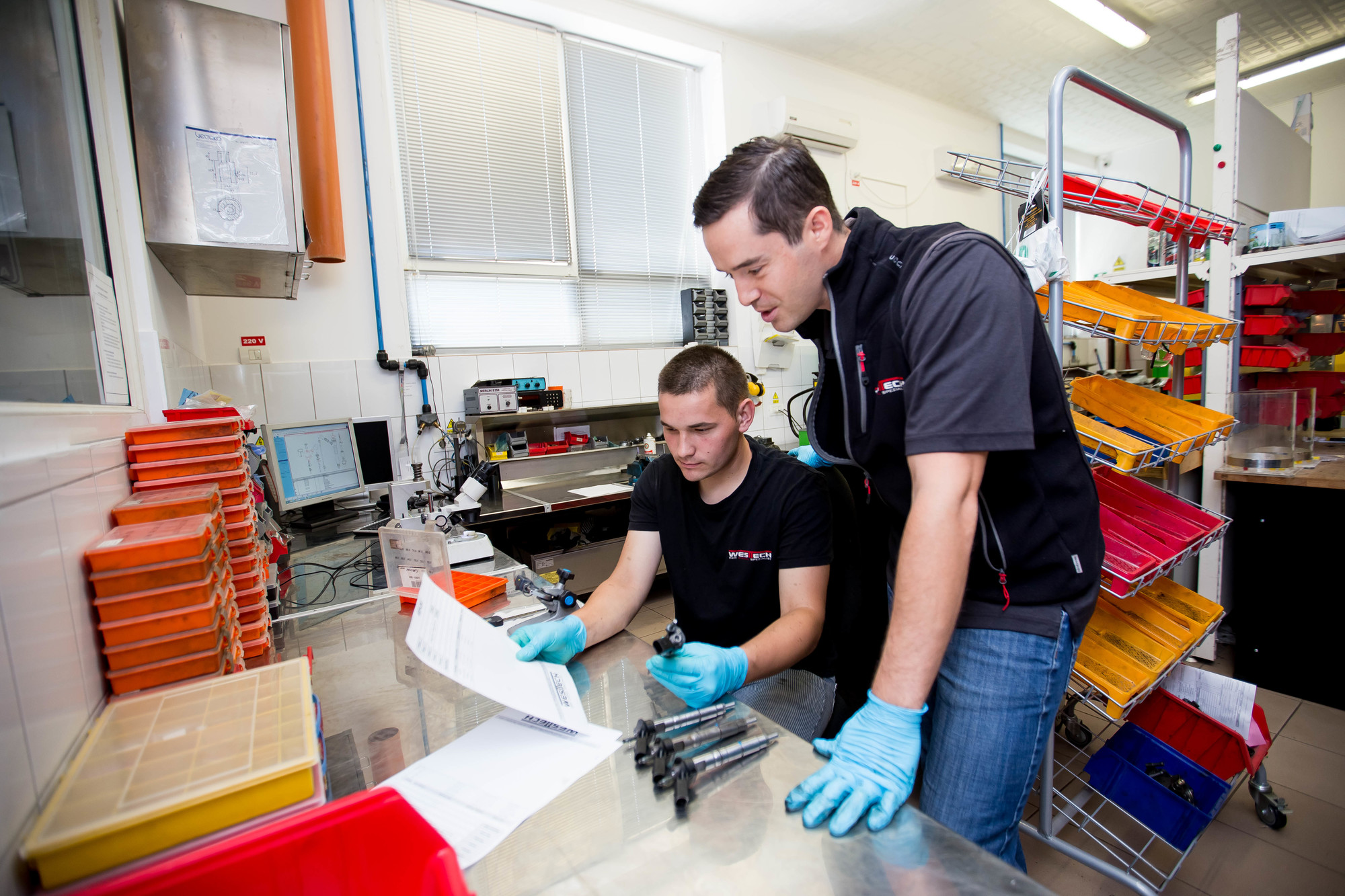 WEST TECH DIESEL SRL - قطع غيار DENSO undefined: صورة 9