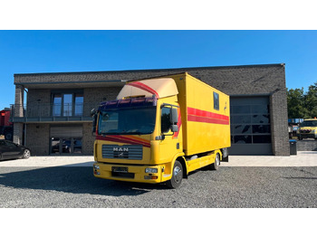 شاحنة نقل خيل MAN TGL 10.180