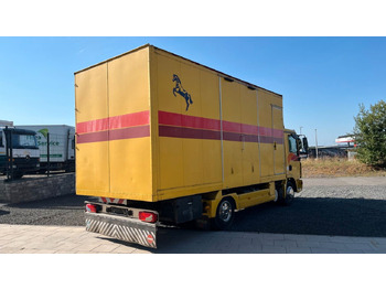 شاحنة نقل خيل MAN TGL 10.180 Euro 4  Pferdetransporter Horse MAN TGL 10.180 Euro 4  Pferdetransporter Horse: صورة 4
