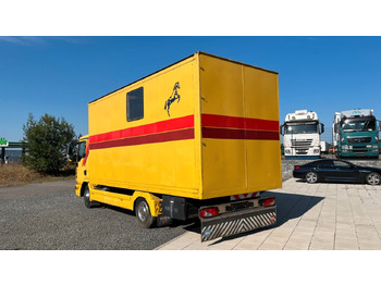 شاحنة نقل خيل MAN TGL 10.180 Euro 4  Pferdetransporter Horse MAN TGL 10.180 Euro 4  Pferdetransporter Horse: صورة 5