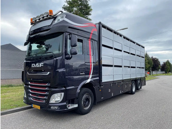 شاحنة نقل المواشي DAF XF 460