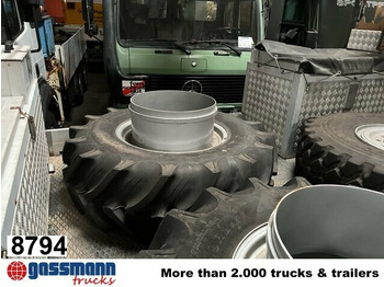 الإطارات والجنوط