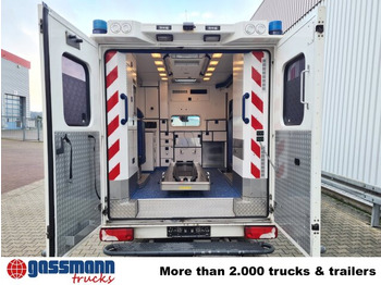فان Mercedes-Benz Sprinter 516 CDI 4x2, Rettungswagen: صورة 5