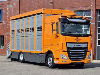 شاحنة نقل المواشي DAF XF 530