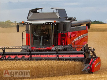 حصادة موحَّدة MASSEY FERGUSON