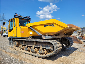 شاحنة قلابة مجنزرة BERGMANN 4010R: صورة 2