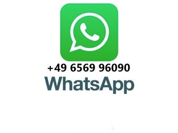 شاحنة النفايات Mercedes-Benz Actros 2532 MP 3 Faun Frontlader 533 Waage Mercedes-Benz Actros 2532 MP 3 Faun Frontlader 533 Waage: صورة 2
