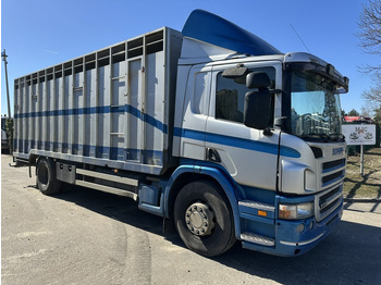 شاحنة نقل المواشي SCANIA P 310