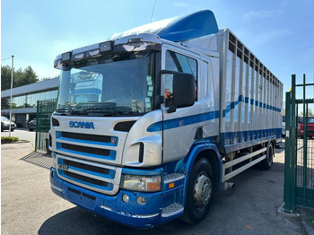 شاحنة مقفلة Scania P310 4x2 CLOSED ALU BOX 7m - MANUAL - A/C - BELGIAN TRUCK: صورة 3