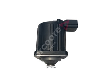 : صورة رأس الصفحة