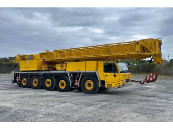 : صورة رأس الصفحة