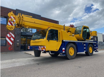 رافعة لجميع التضاريس TEREX