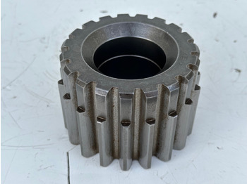 : صورة رأس الصفحة