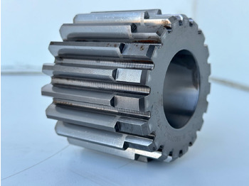 : صورة رأس الصفحة