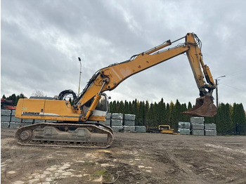 حفار هدم Liebherr R944B UH-HD 2 Arms: صورة 3