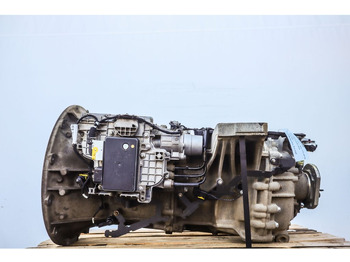 : صورة رأس الصفحة