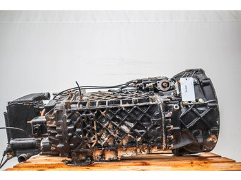 : صورة رأس الصفحة