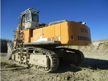 حفار زحاف 2013 Liebherr R 974 C Hochlöffel: صورة 2