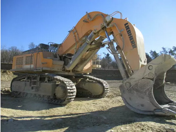 حفار زحاف 2013 Liebherr R 974 C Hochlöffel: صورة 3