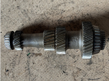 : صورة رأس الصفحة