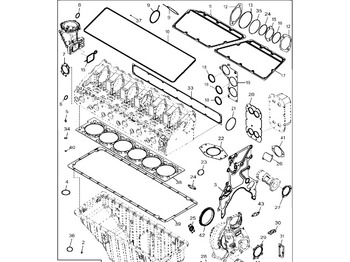 : صورة رأس الصفحة