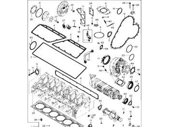 : صورة رأس الصفحة