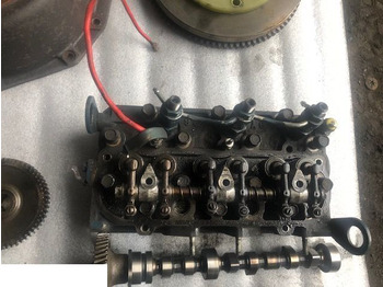 : صورة رأس الصفحة