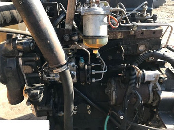 : صورة رأس الصفحة