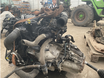 : صورة رأس الصفحة