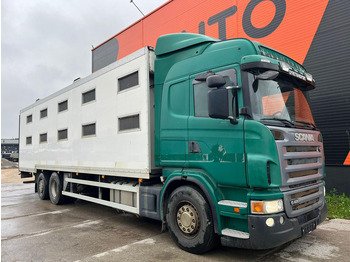 شاحنة نقل المواشي Scania G 480 6x2*4 BOX L=9212 mm / COOLANT LEAKAGE ON 3 RD CYLINDER: صورة 4