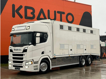 شاحنة نقل المواشي SCANIA R 580