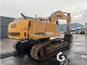 حفار زحاف Liebherr R934B HDSL: صورة 3
