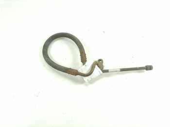 : صورة رأس الصفحة