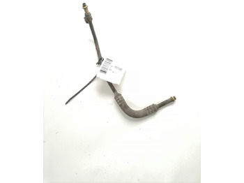 : صورة رأس الصفحة