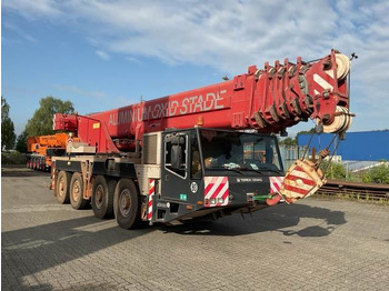 رافعة لجميع التضاريس Terex Demag AC80-1: صورة 4