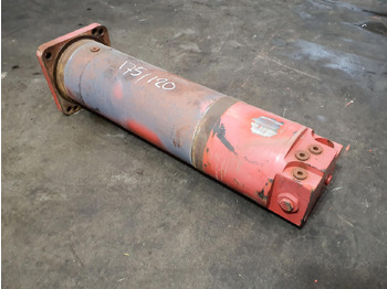 تعليق - موبايل كرين Grove GMK 5220, 5170 outrigger cylinder: صورة 3