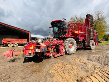 : صورة رأس الصفحة