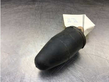 : صورة رأس الصفحة