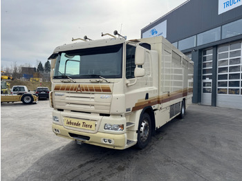 شاحنة نقل المواشي DAF CF 410