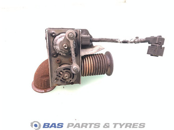 : صورة رأس الصفحة