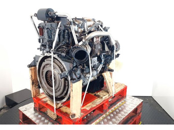 : صورة رأس الصفحة